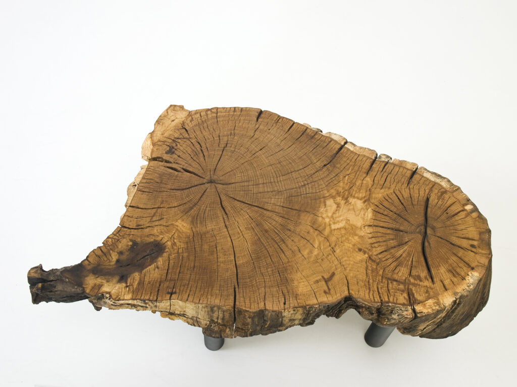 furniture design sofa coffee table wood oak log natural edge designer furniture furniture furniture designer by f maurer