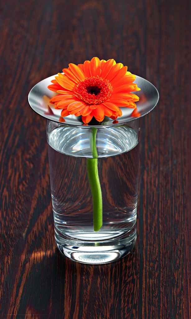 product design tableware geschenk vasen aus edelstahl für trinkglaeser niro blumen mono conglas mit gerbera 1 1
